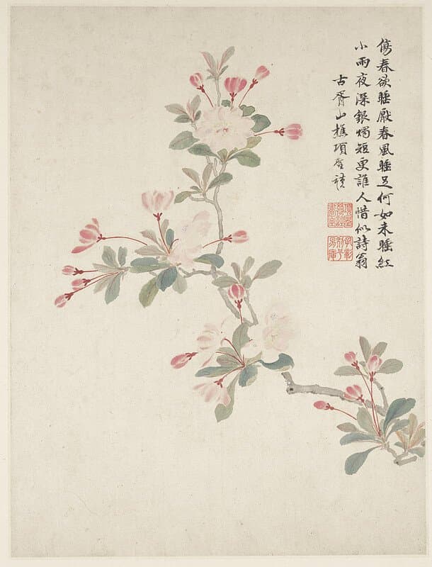 Crab-apple Blossom from a Flower Album of Ten Leaves — Xiang Shengmo