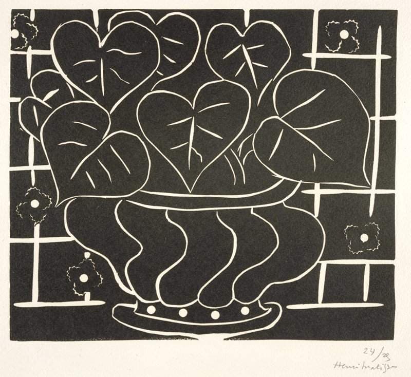 Bowl of Begonias I — Henri Matisse