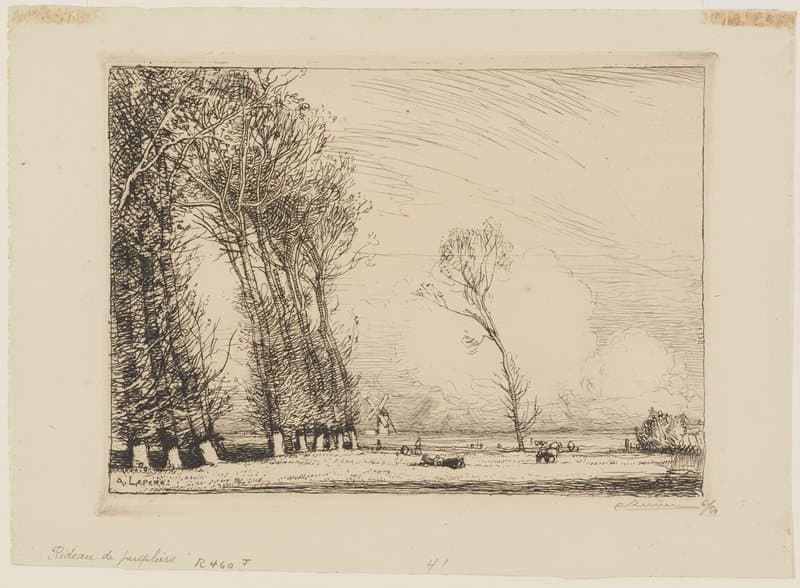 Screen of Poplars, Vendée — Auguste Lepère