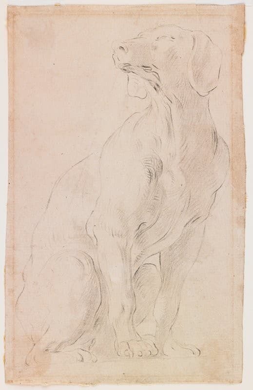 Seated Dog — Francesco Solimena