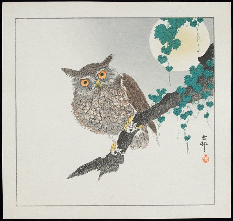 Owl — Ohara Shōson