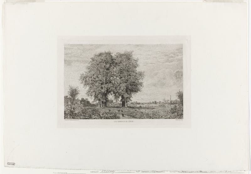 Les Ormeaux de Cénon — Maxime Lalanne