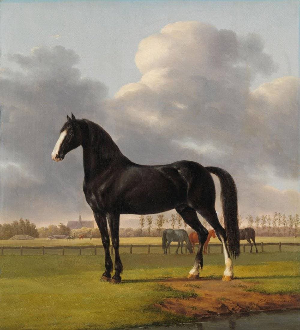 Adriaan van der Hoop’s Trotter ‘De Vlugge’ (The Fast One) in a Meadow — Anthony Oberman