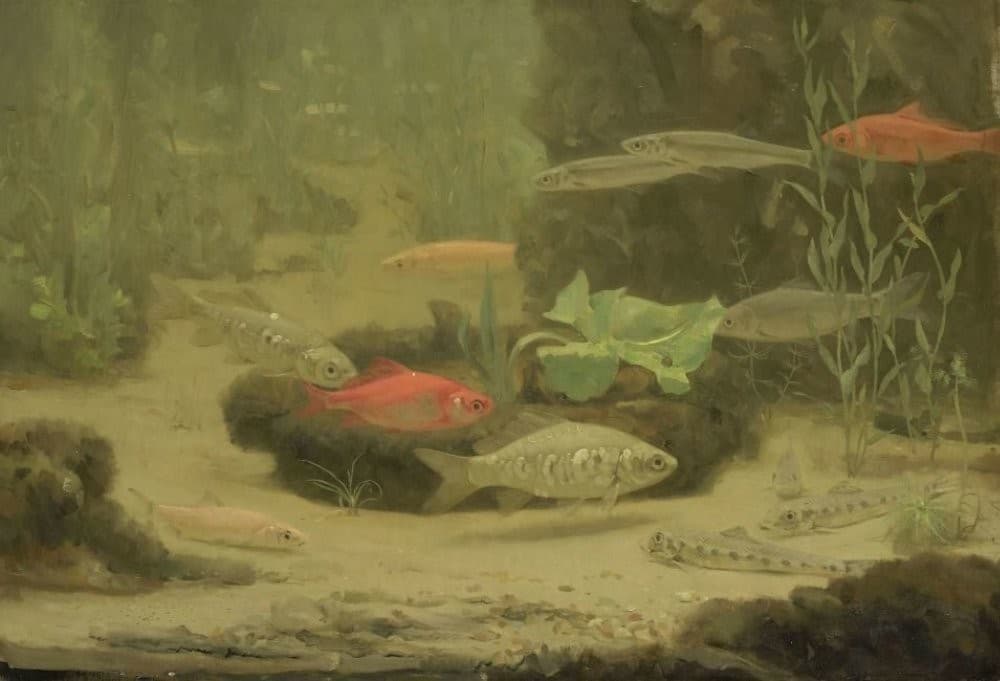 Gold- and Silverfish in an Aquarium — Gerrit Willem Dijsselhof