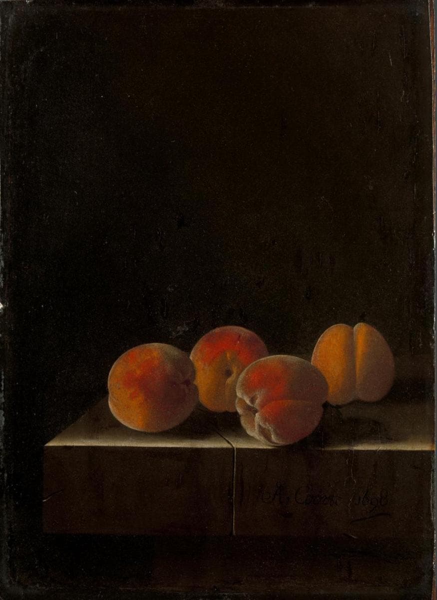 Four Apricots on a Stone Plinth — Adriaen Coorte