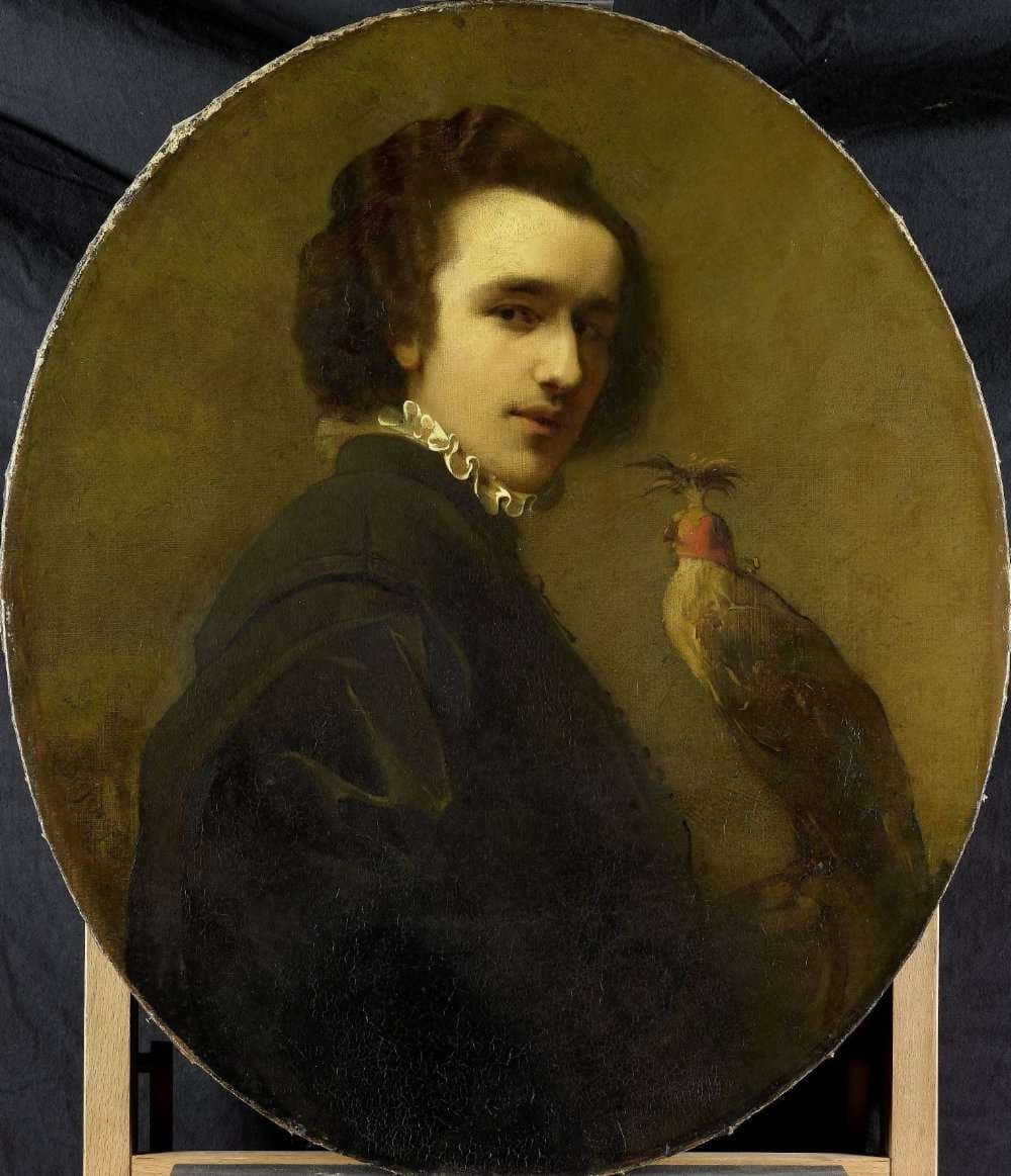 The Falconer — Christoffel Bisschop