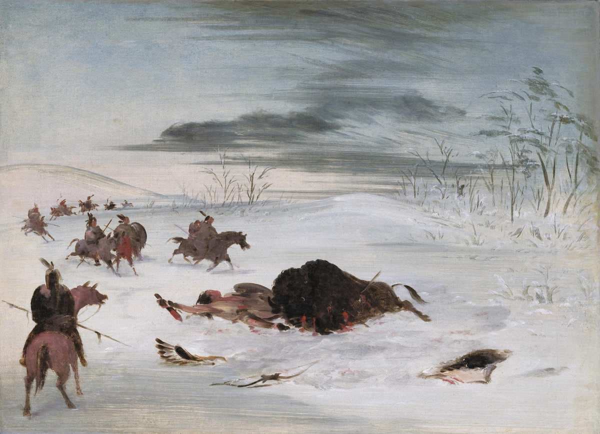 Dying Buffalo Bull in a Snowdrift — George Catlin