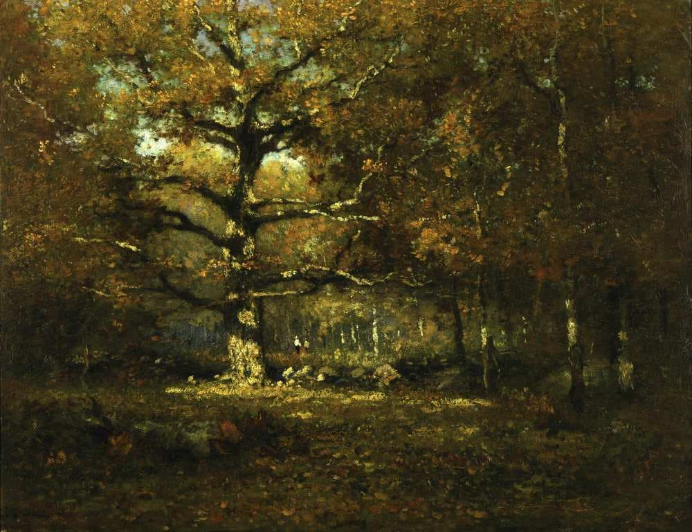Connecticut Woods — Henry Ward Ranger