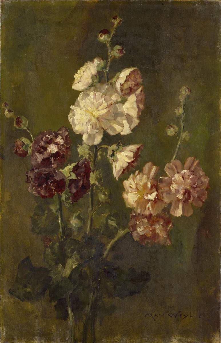 Hollyhocks — Max Weyl