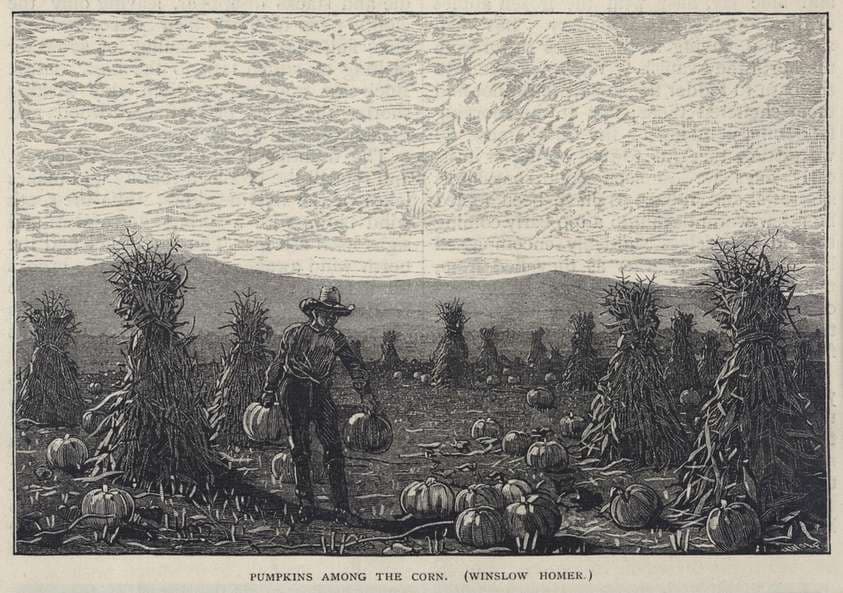 Pumpkins Among the Corn, from Scribner's Monthly, An Illustrated Magazine for the People, August 1878 — Winslow Homer
