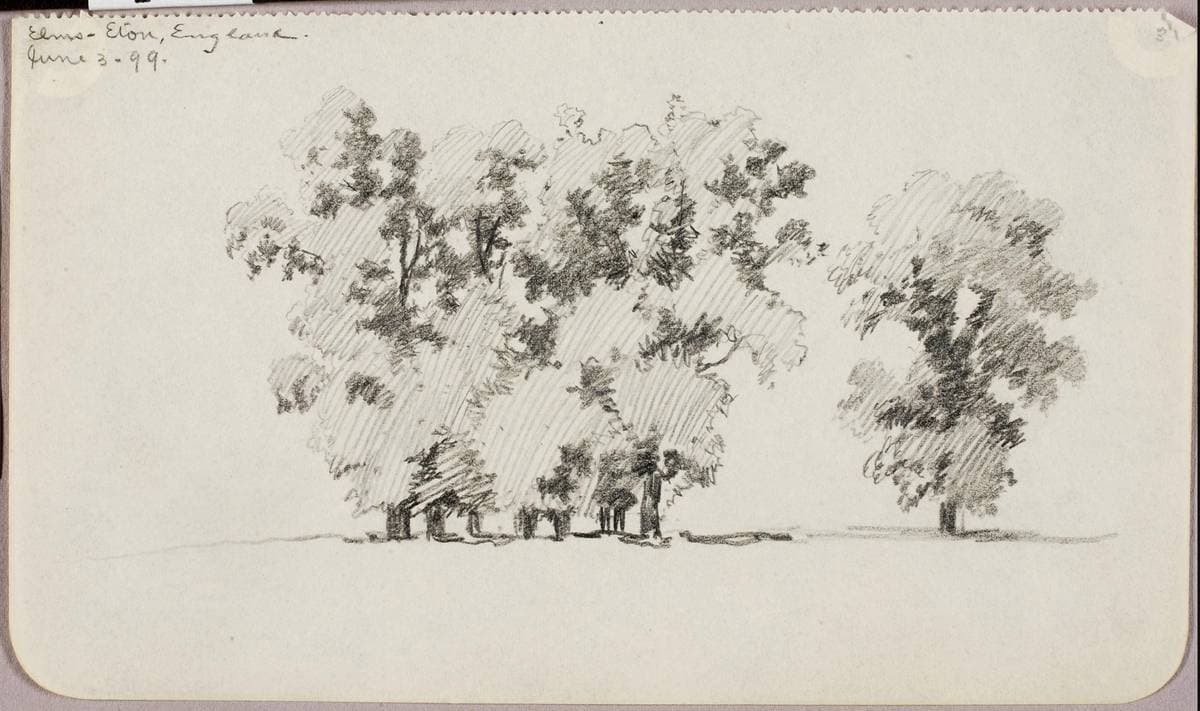 Elms--Eton, England — George Elbert Burr