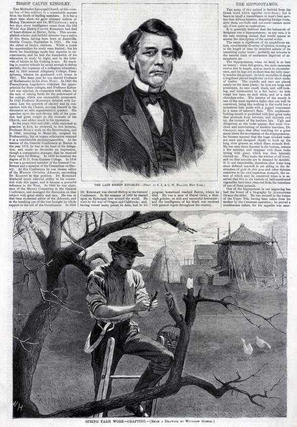 Spring Farm Work--Grafting, from Harper's Weekly, April 30, 1870 — Winslow Homer