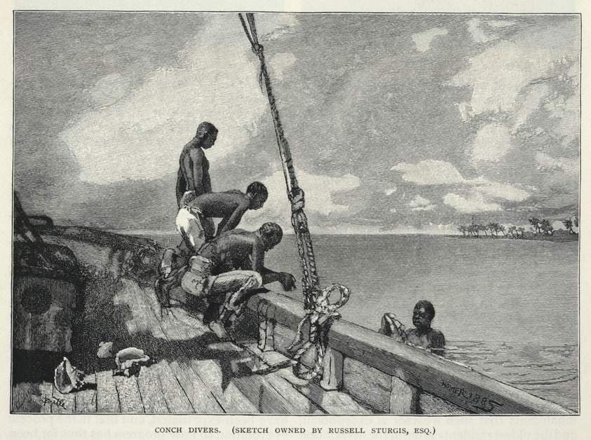 A Hurricane, Growing Hemp, On Abaco Island, A Flower Seller, Conch Divers, from The Century Magazine, February 1887 — Winslow Homer