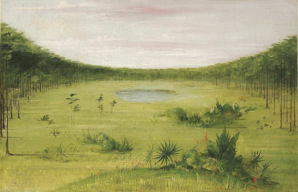 Beautiful Savannah in the Pine Woods of Florida — George Catlin