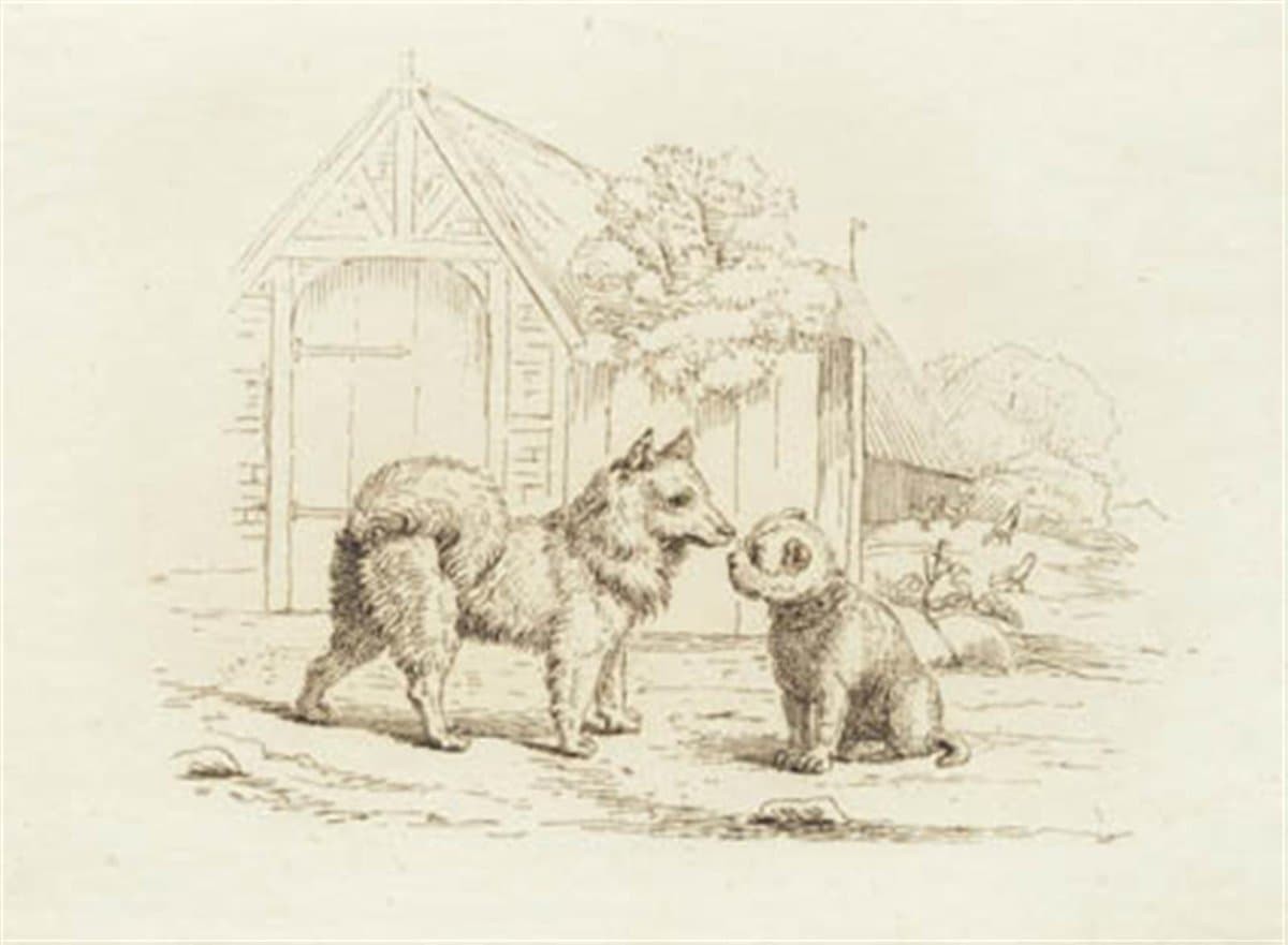 Illustration til "Halvhundrede Fabler for Børn" af Hey — Martinus Rørbye