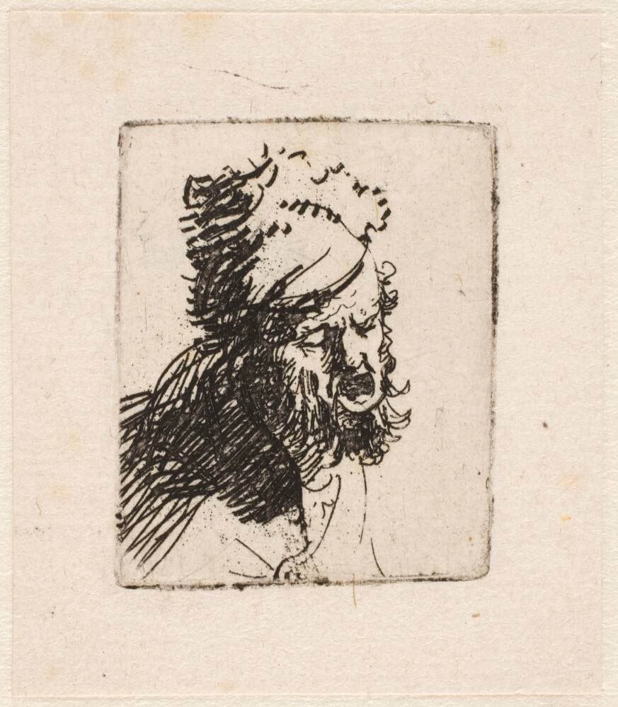 Hoved af råbende mand med pelshue — Rembrandt van Rijn