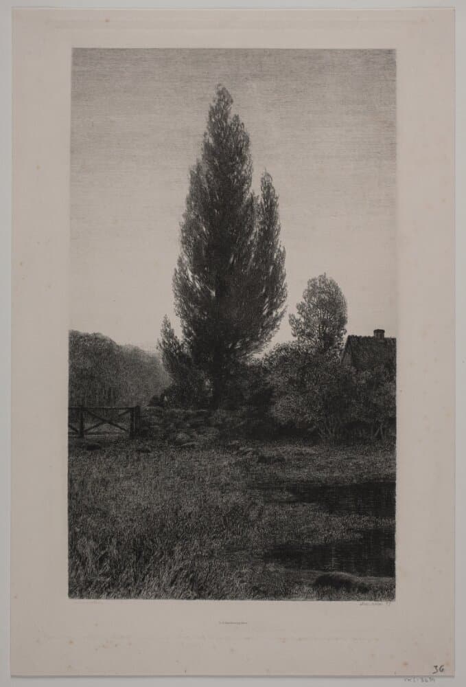 Sommeraften — Axel Holm