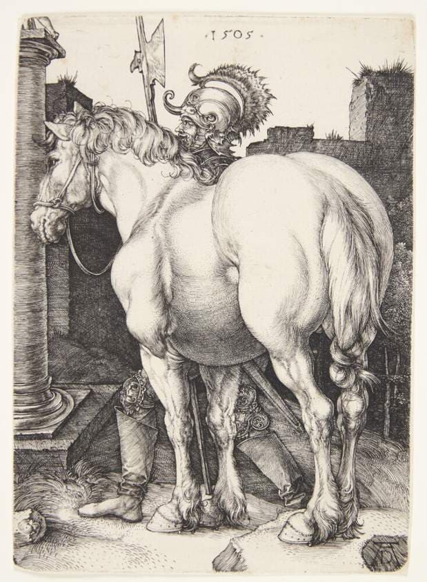 Den store hest — Albrecht Dürer