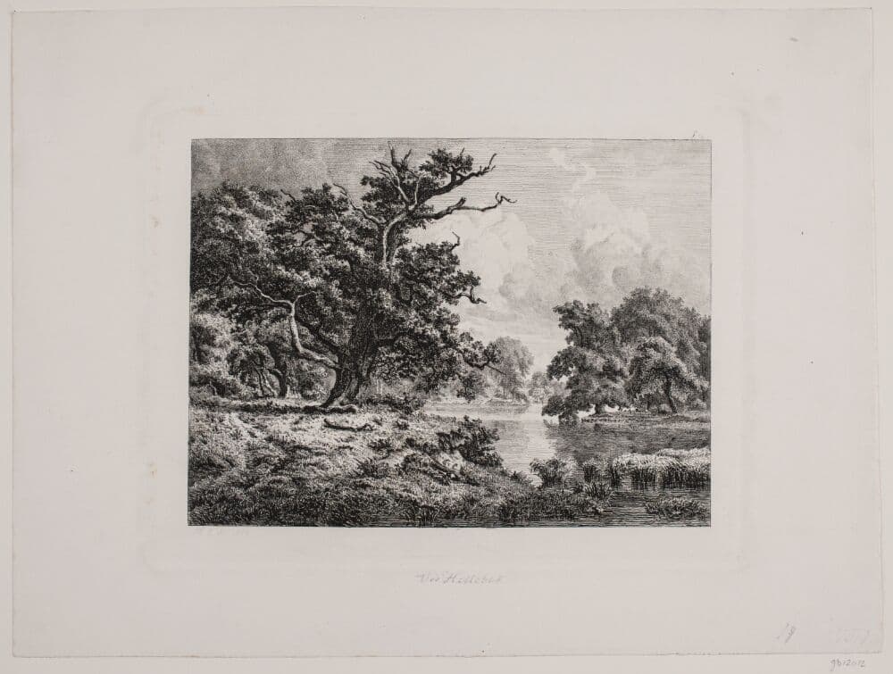 Parti i Hellebæk skov — Hermann Carmiencke
