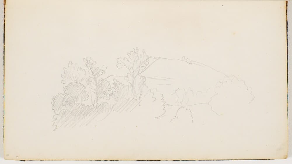 Træer og buske — P.C. Skovgaard
