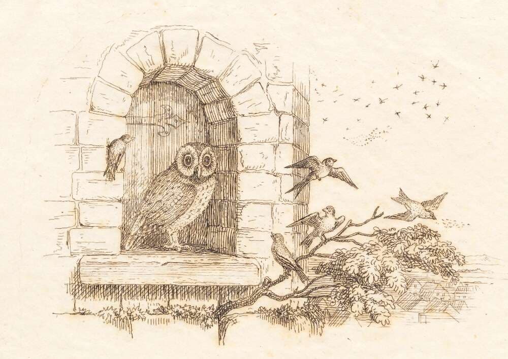 Illustration til "Halvhundrede Fabler for Børn" af Hey — Martinus Rørbye