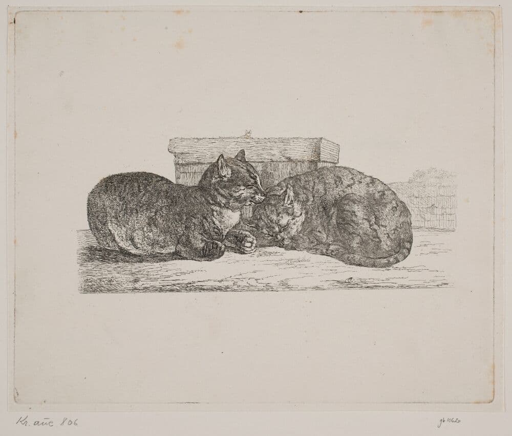 To katte — Christian David Gebauer