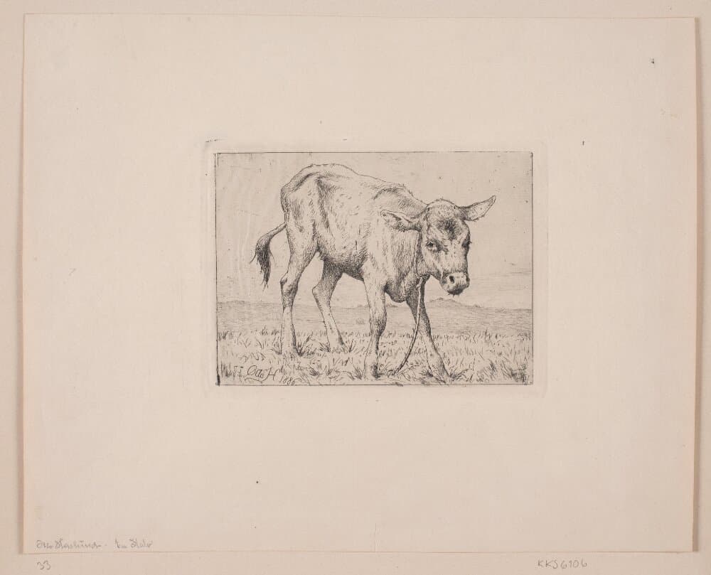 En kalv — Otto Haslund