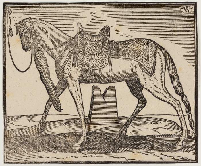 Elegant opsadlet hest, tøjret ved v. indramningslinje, profil mod v.; under hestens bug ses en ruineret — Melchior Lorck