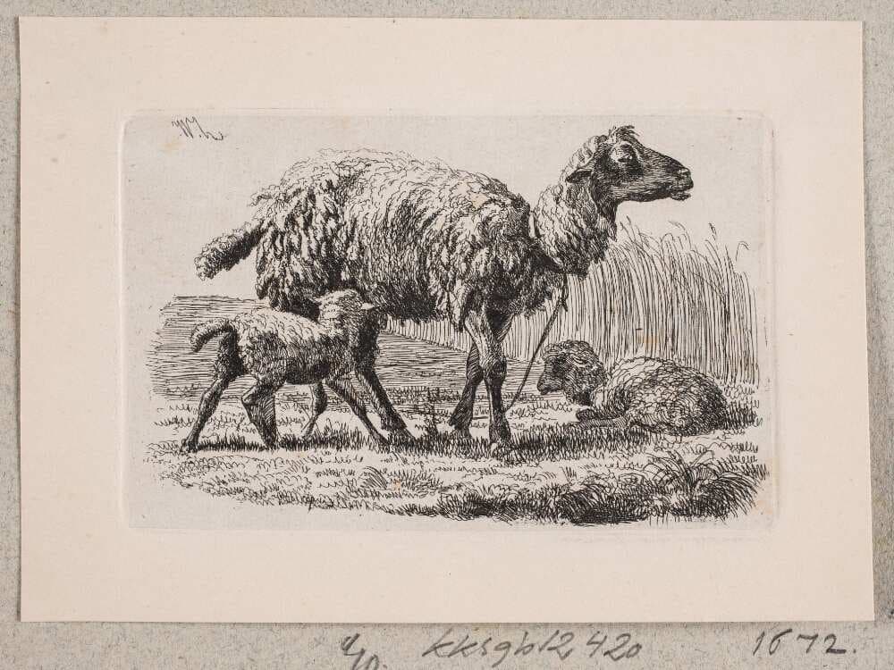 Et får med to lam — Johannes Wilhelm Zillen