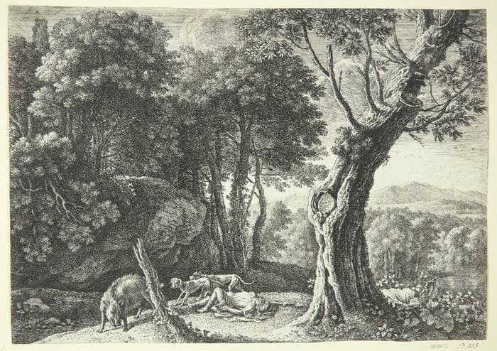 Adonis' død — Herman van Swanevelt