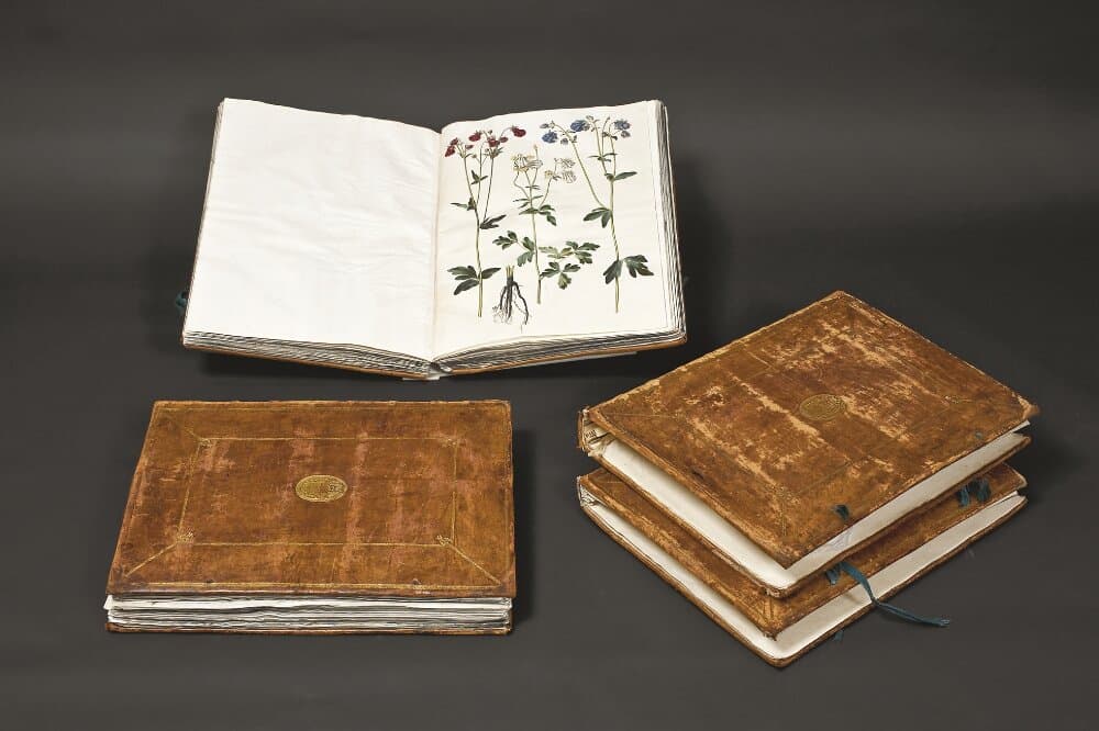Gottorfer Codex, bd. 4 — Hans Simon Holtzbecker
