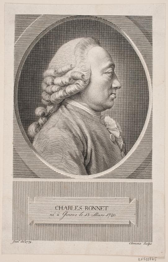 Charles Bonnet — J.F. Clemens