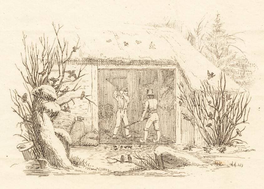 Illustration til "Halvhundrede Fabler for Børn" af Hey — Martinus Rørbye