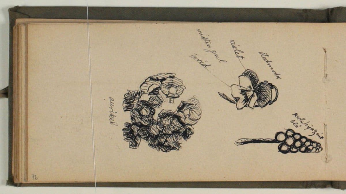 Studier af blomster med ats- og farveangivelser — Niels Larsen Stevns