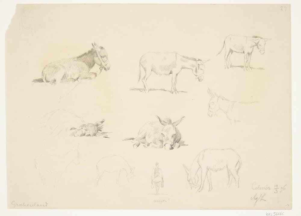 Studieblad med dyr. — Agnes Lunn