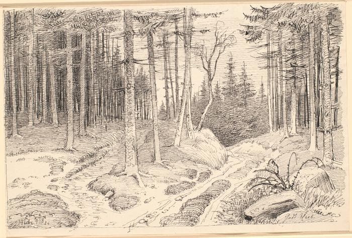 Hulvej gennem en granskov — Johan Thomas Lundbye