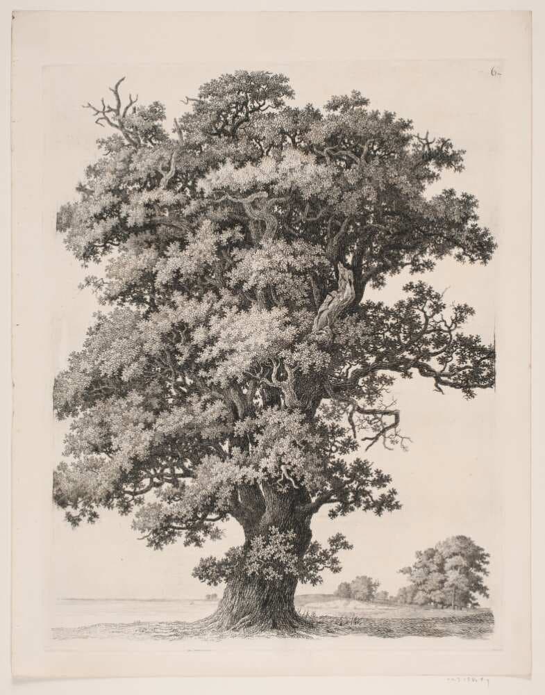 "Studier efter Naturen med Hensyn til Landskabstegning af S.H. Petersen", nr. 6 — Søren Henrik Petersen