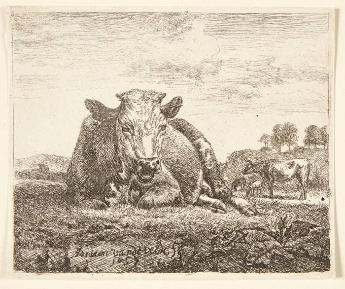Liggende ko — Adriaen van de Velde