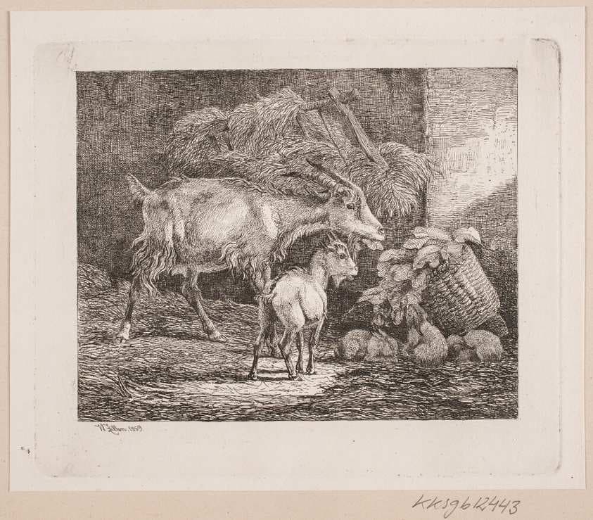 En ged, et kid og kaniner i en stald — Johannes Wilhelm Zillen