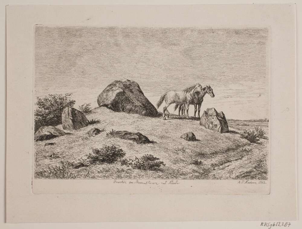 Gravhøj fra stenalderen ved Neiede — Madsen, A.P.
