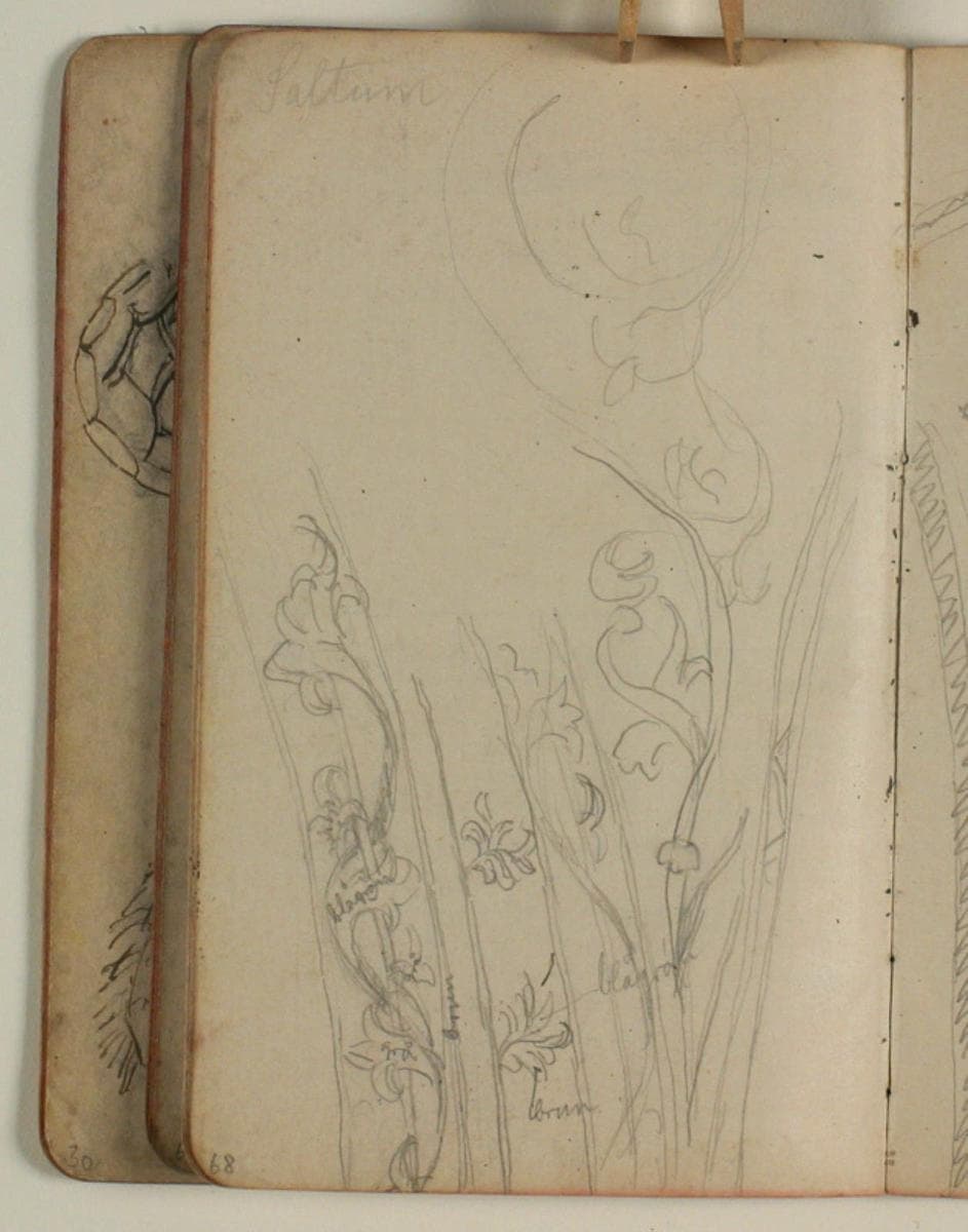 Studier af ornamentranker fra Saltum kirke — Niels Larsen Stevns