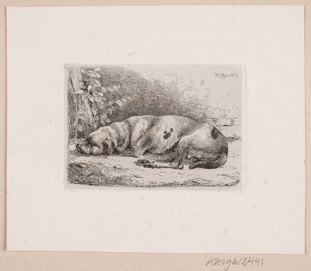 En sovende hund — Johannes Wilhelm Zillen