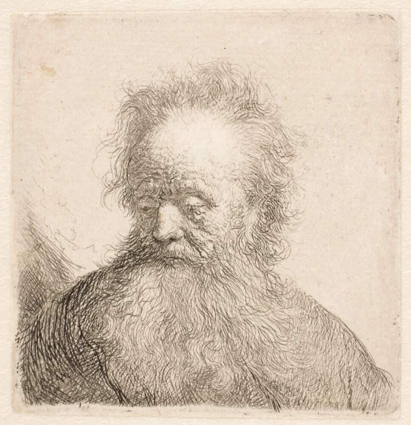 Hoved og skulder af gammel, skægget mand — Rembrandt van Rijn