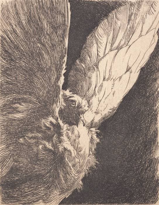 En due — Frans Schwartz