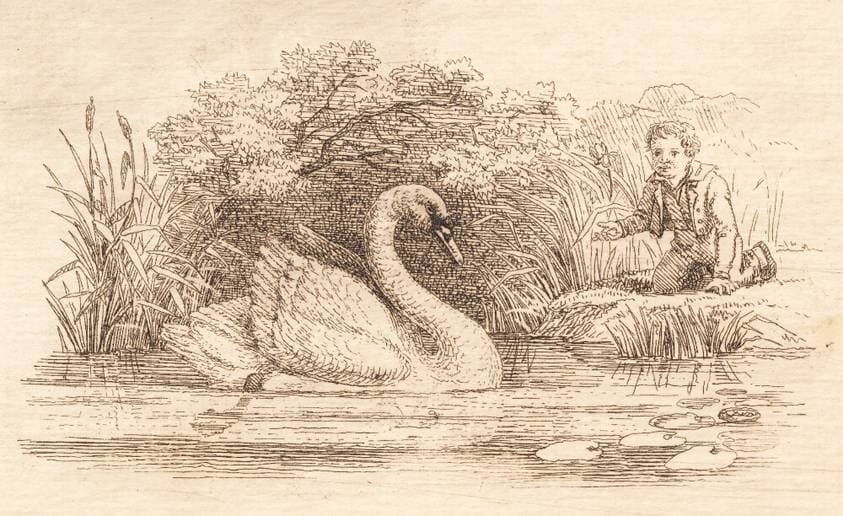 Illustration til "Halvhundrede Fabler for Børn" af Hey — Martinus Rørbye