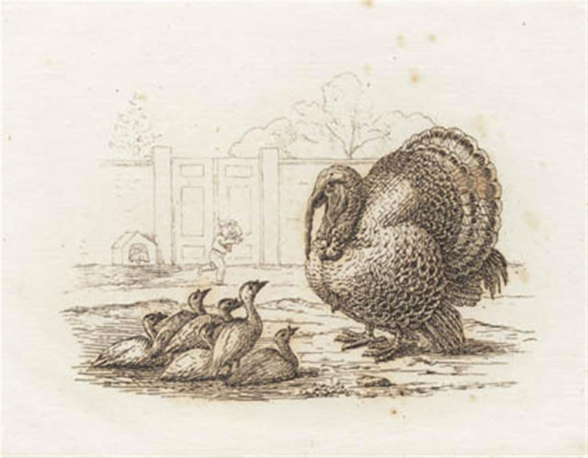 Illustration til "Halvhundrede Fabler for Børn" af Hey — Martinus Rørbye