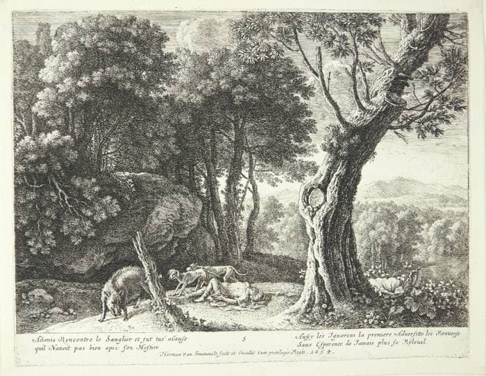 Adonis' død — Herman van Swanevelt