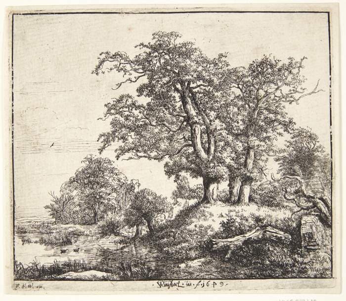 Tre egetræer — Jacob van Ruisdael