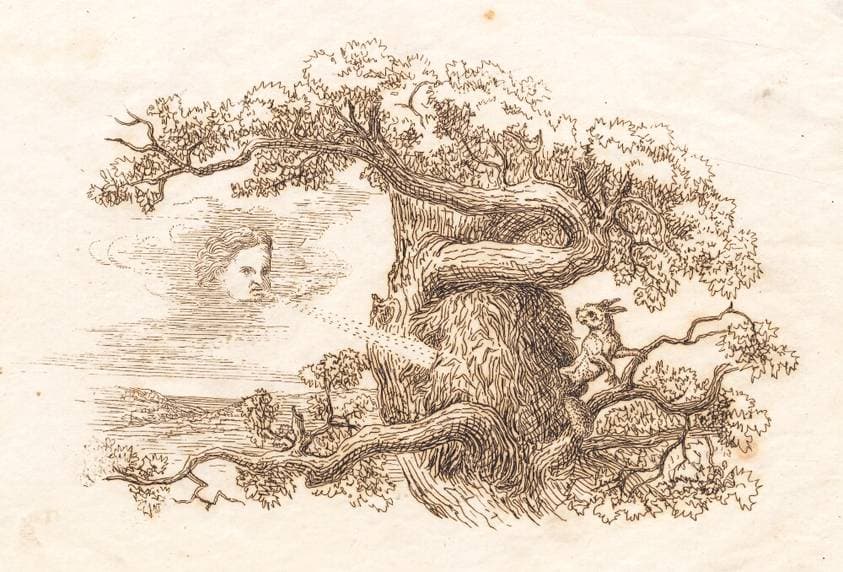 Illustration til "Halvhundrede Fabler for Børn" af Hey — Martinus Rørbye