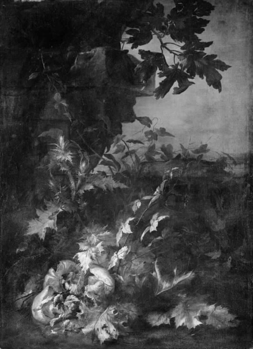 Tidsler og paddehatte — Jean-Baptiste Gaijot Dubuisson